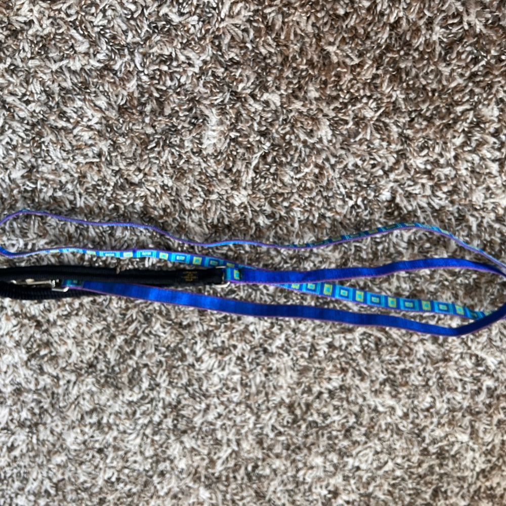 Lupine Dog Leash